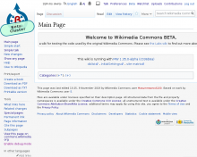 why is betacommons in simple English2.png (731×910 px, 94 KB)