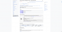 Screenshot_of_broken_thumbnails_on_Wikimedia_projects_02.png (1×2 px, 216 KB)