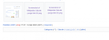 Screenshot_of_broken_thumbnails_on_Wikimedia_projects_01.png (313×844 px, 24 KB)