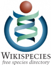 specieswiki-2x.png (320×250 px, 92 KB)