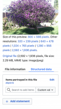 commons.m.wikimedia.beta.wmflabs.org_wiki_File_Purple_flowers_tree.jpg(Galaxy S5).png (1×1 px, 1 MB)