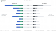 Diversity Dashboard – Visualization.png (1×1 px, 105 KB)