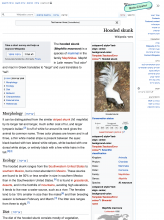 en.wikipedia.beta.wmflabs.org_wiki_Hooded_skunk_useskinversion=2&uselang=he(iPad Pro).png (2×2 px, 1 MB)
