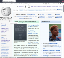 Enwiki Screenshot .png (979×1 px, 489 KB)