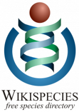 specieswiki-1.5x.png (265×187 px, 26 KB)