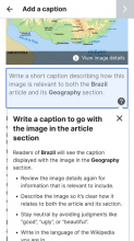 Add a caption Brazil.png (640×360 px, 77 KB)