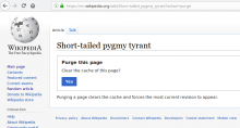 purge.png (452×841 px, 58 KB)