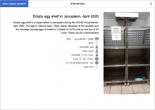 Screenshot_2020-04-05 עריכת הדף התפרצות נגיף הקורונה בישראל – ויקיפדיה.png (1×1 px, 1 MB)