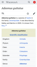 en.m.wikipedia.org_wiki_Adesmus_guttatus(iPhone 6_7_8).png (1×750 px, 128 KB)