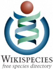 specieswiki-1.5x.png (240×187 px, 60 KB)