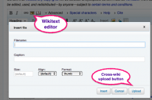 Cross-wiki uploads in wikitext editor.png (617×936 px, 132 KB)