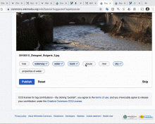 Commons tags animation desktop and mobile.mov.gif (1×1 px, 1 MB)