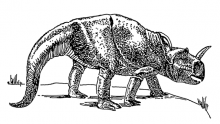 640px-Dinosaur_(PSF).png (361×640 px, 96 KB)