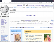 Tewiki partial logo on Firefox 90.0.2 .png (979×1 px, 459 KB)