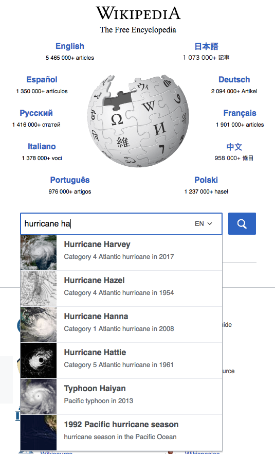wikipedia-searchbox-with-etadata.png (882×535 px, 201 KB)